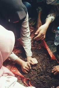 Photo untuk LSU (10) Photo untuk LSU (10)
