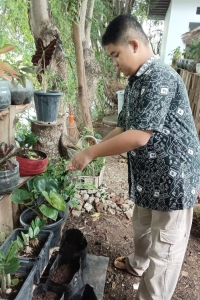 Photo untuk LSU (8) Photo untuk LSU (8)