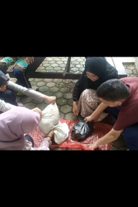 Photo untuk LSU (9) Photo untuk LSU (9)