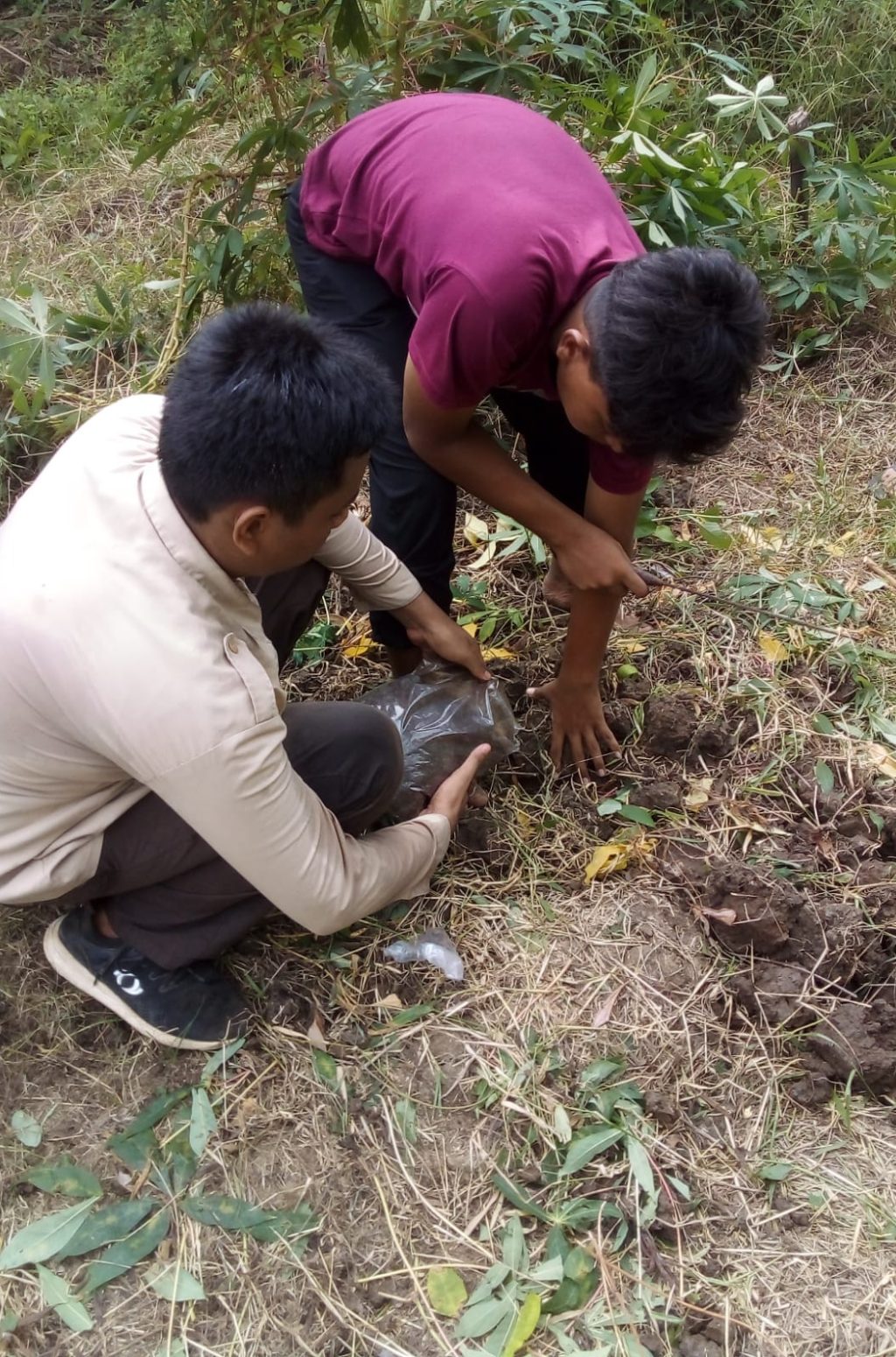 WhatsApp Image 2024-08-02 at 15.14.48 (1)