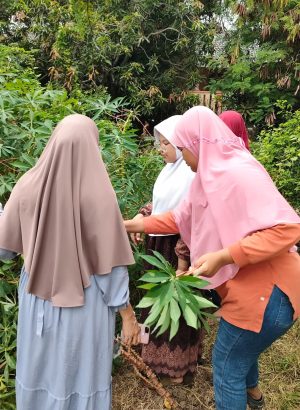 WhatsApp Image 2024-08-30 at 09.06.13